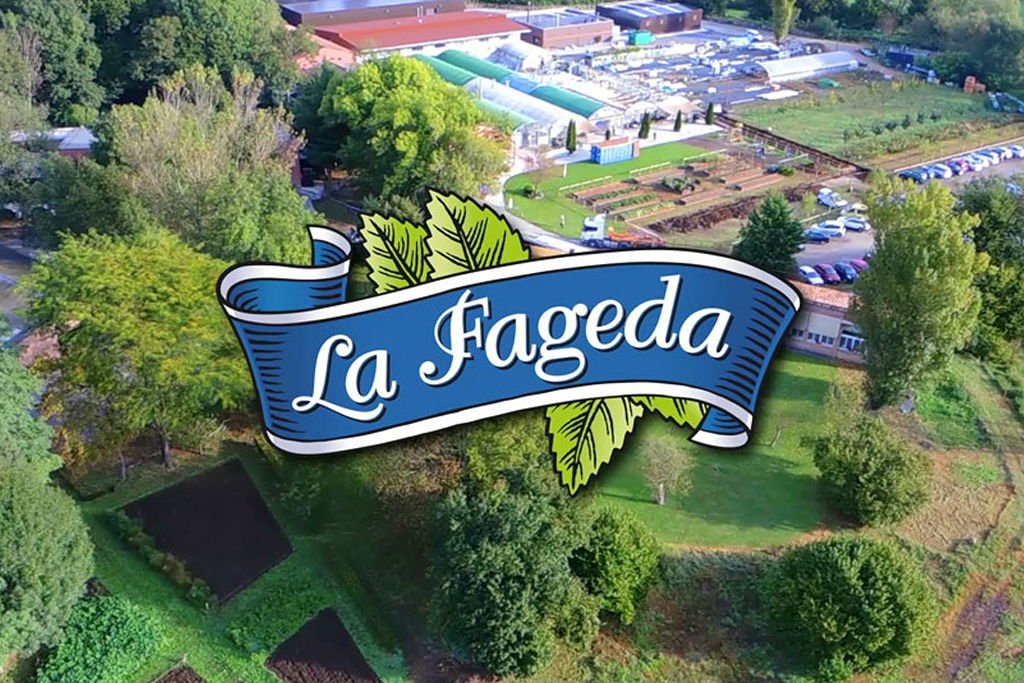 Visita la fageda